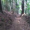 IMG-20220908-WA0001